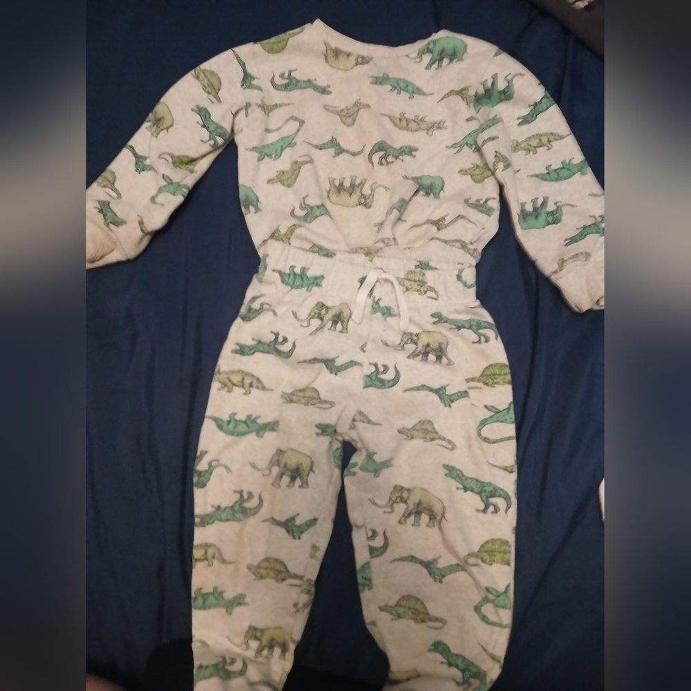 Dinosaur Print Toddler 2T Set